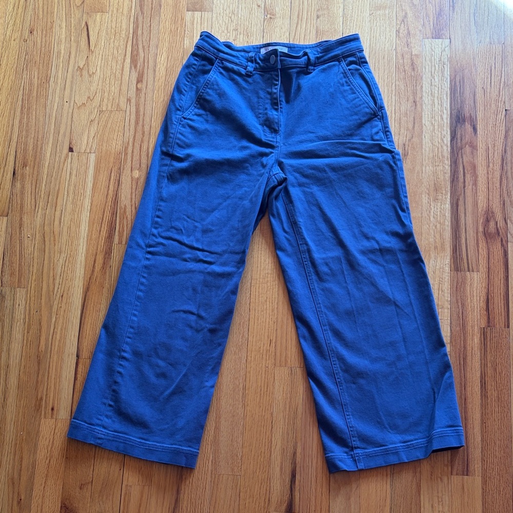 Everlane Wide Leg Cropped Blue Denim Pants